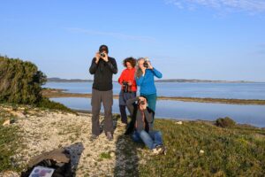 stages photo 1er trimestre 2026