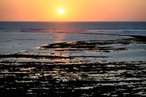 stages photo Charente-Maritime 2026