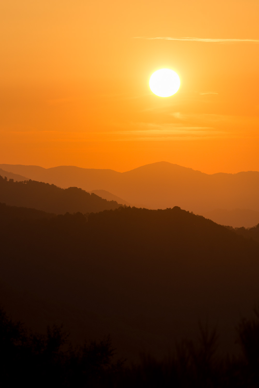 atelier photo ariège