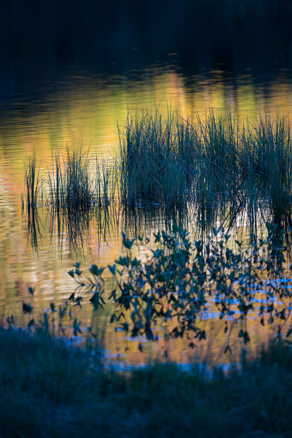 atelier photo lac ariège pyrénées