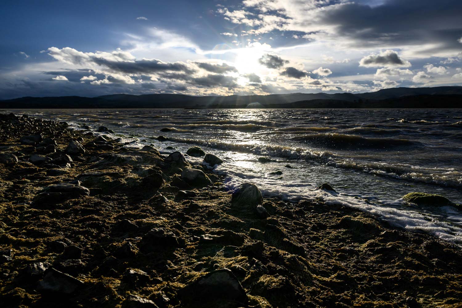 Lire la suite à propos de l’article Retour stage photo Bages – Mars 2026