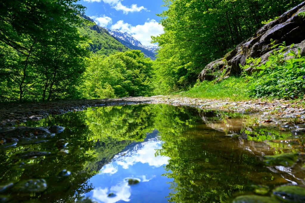 stage photo réserve d’Orlu 2026