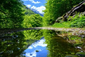 stage photo réserve d’Orlu 2026
